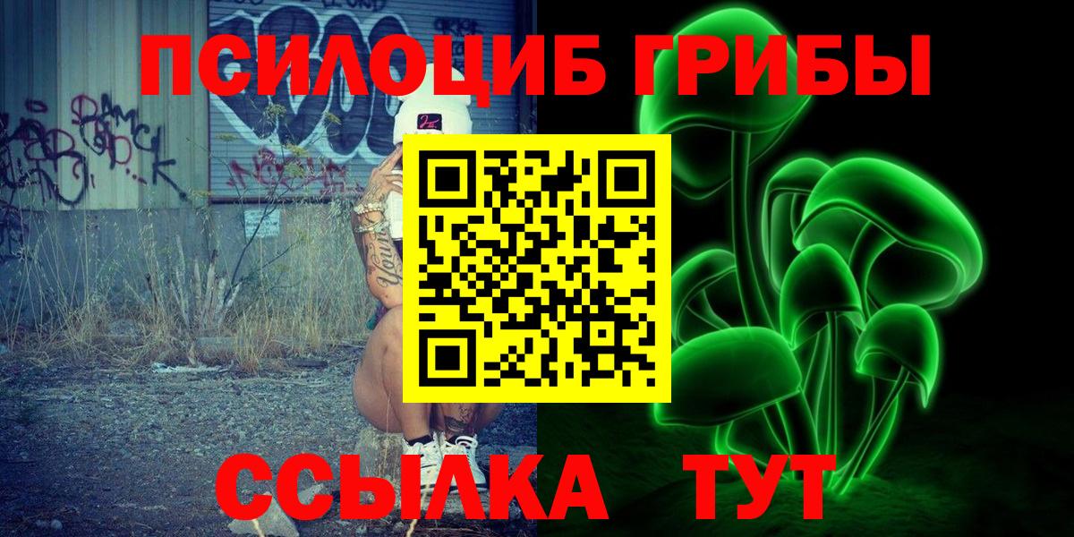 Псилоцибиновые грибы Cubensis  Псилоцибиновые грибы прущие грибы  Вход с VPN  Зерноград 